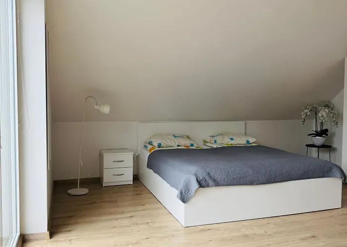 Appartement V36 House - Jaukus Namelis Prie Baseino Palangoje Palanga