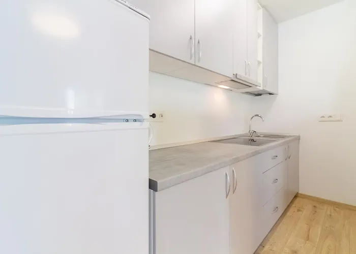 V36 House - Jaukus Namelis Prie Baseino Palangoje דירה פלאנגה